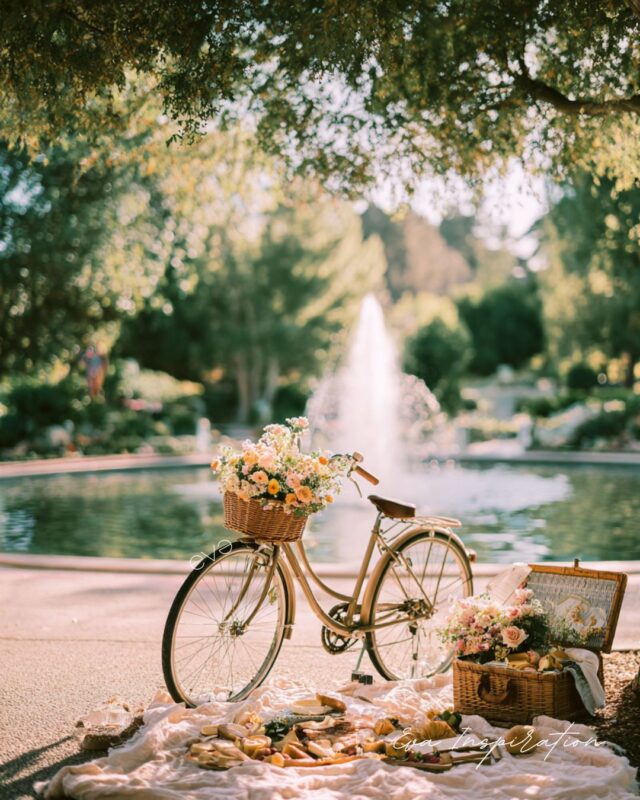 pique nique dans un parc